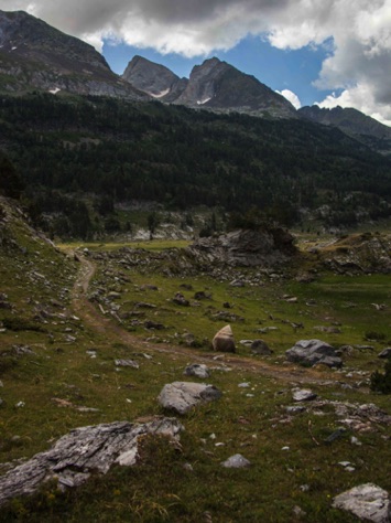 Meadow at Aigualluts below Pico Aneto
IMG_0651