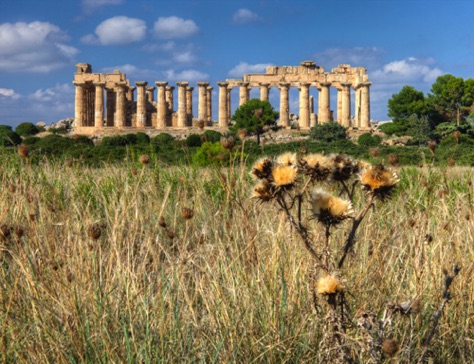 Temple F, Agrigento
IMG_5000_1_2.jpg