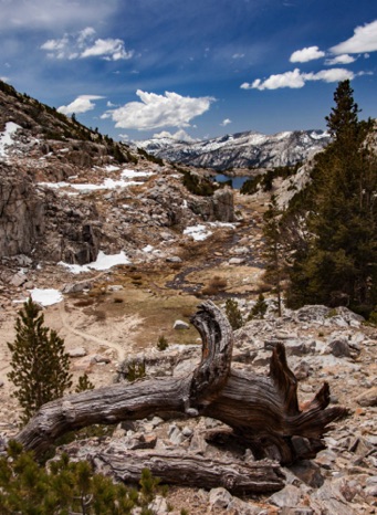 Looking South from Selden Pass
20150604-_MG_6944.jpg