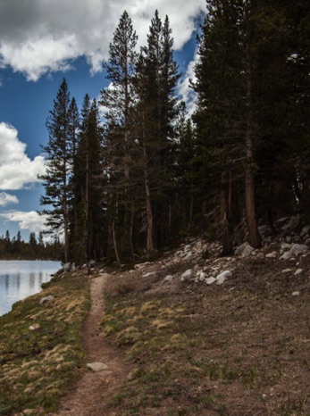 Between Sally Keyes 
Lakes, Sierras
20150604-_MG_6948.jpg