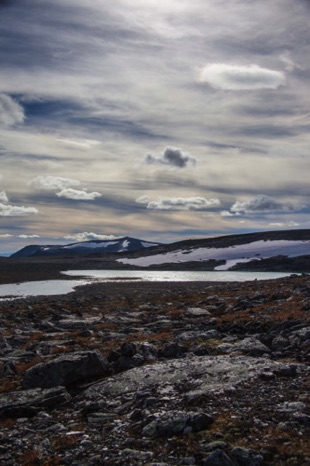 Snøhetta Area
20160905-_MG_-8005.jpg