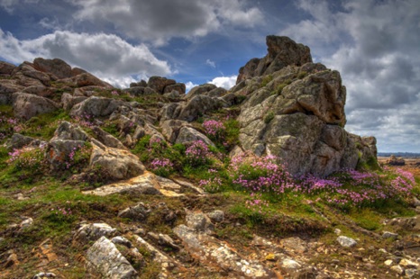 Plougrescant Peninsula, Brittany
20170527-IMG_9467_8_9.jpg