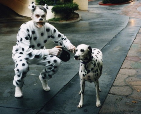 Dalmation2.jpg