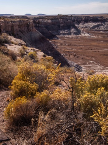 Blue Mesa
Petrified Forest NP