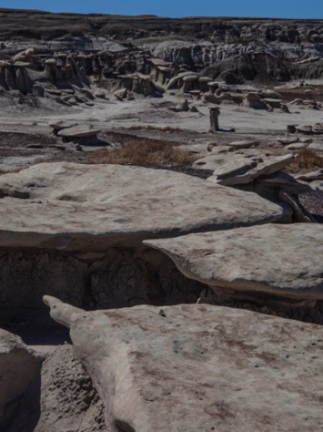 Bisti Wilderness