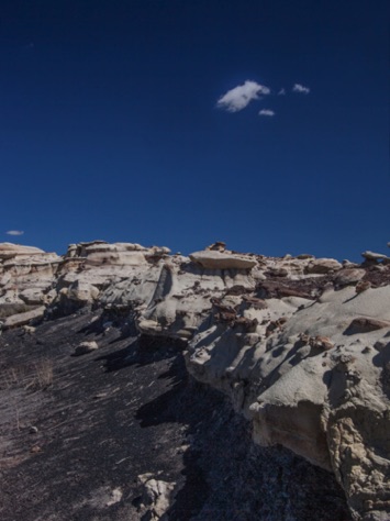 Bisti Wilderness