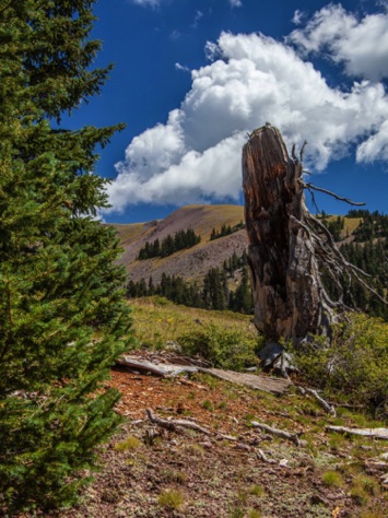 Fishlake National Forest